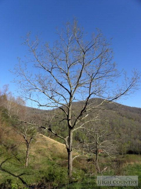 Image number 5 for the current listing