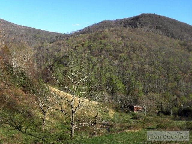 Image number 6 for the current listing