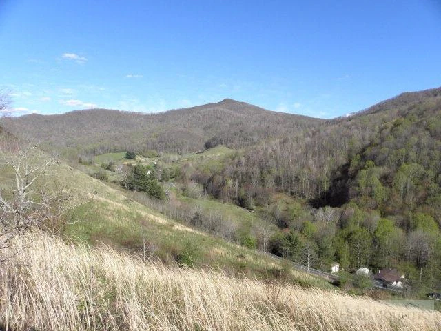 Image number 7 for the current listing
