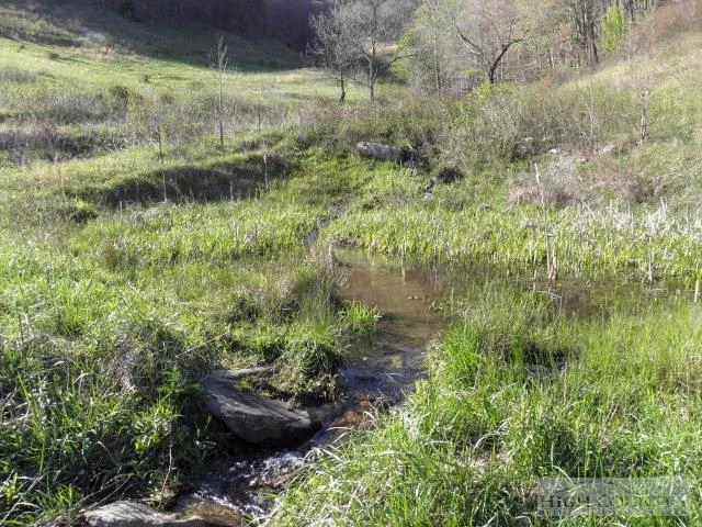 Image number 8 for the current listing