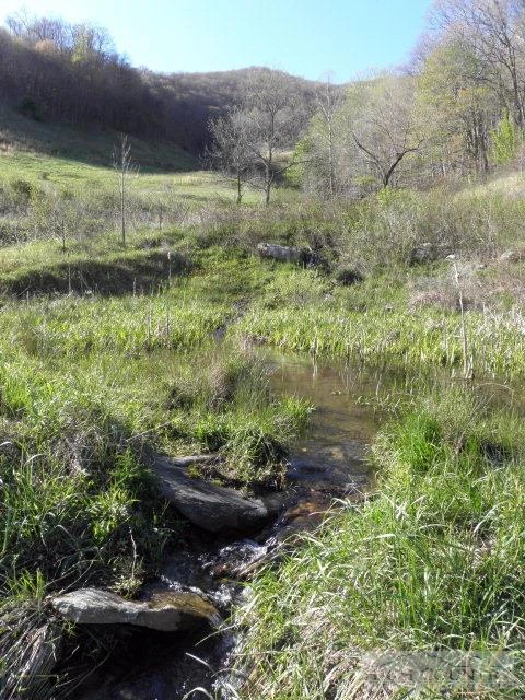 Image number 9 for the current listing