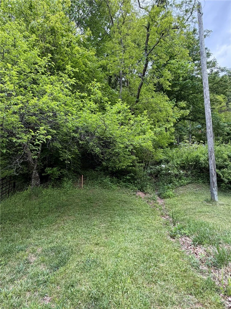 Image number 1 for the current listing