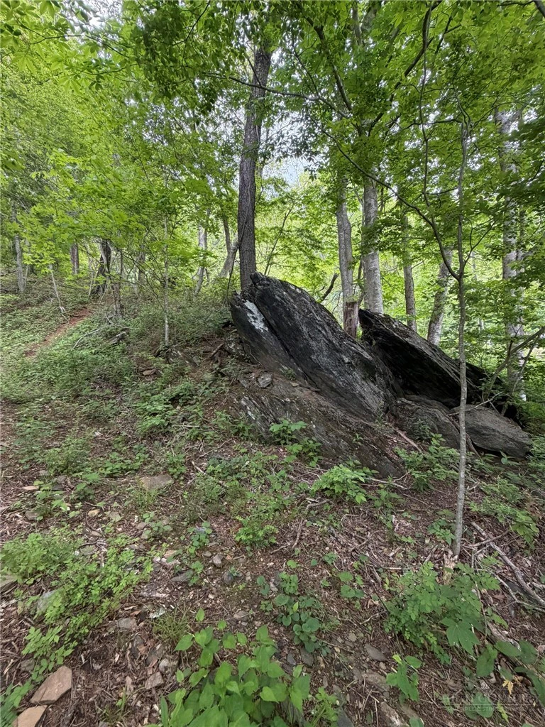 Image number 3 for the current listing