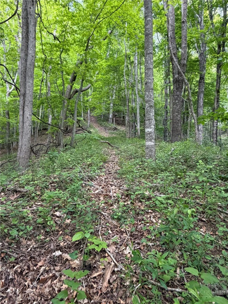 Image number 7 for the current listing