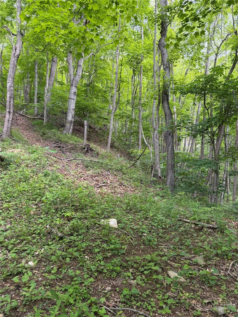 Image number 8 for the current listing