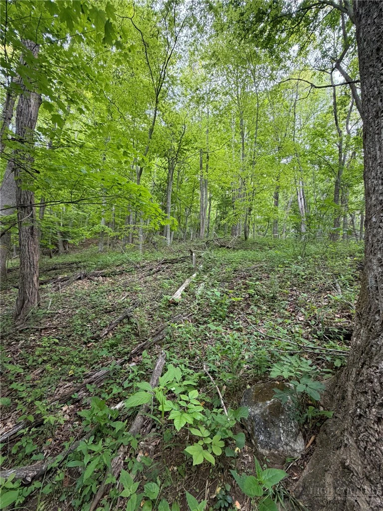 Image number 13 for the current listing