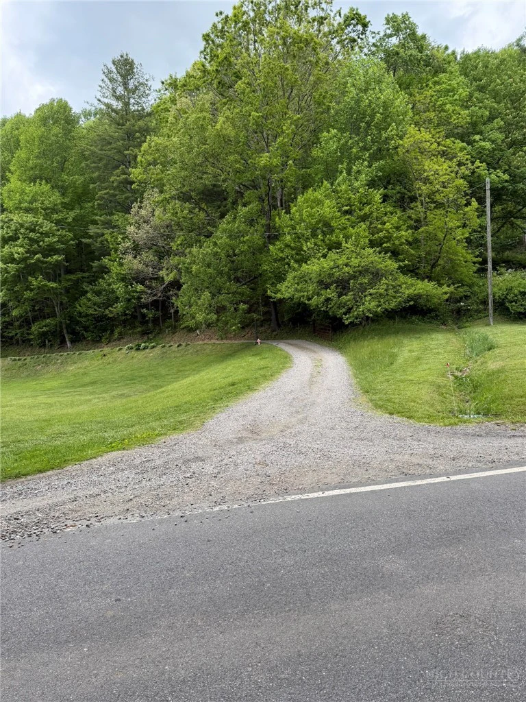 Image number 14 for the current listing