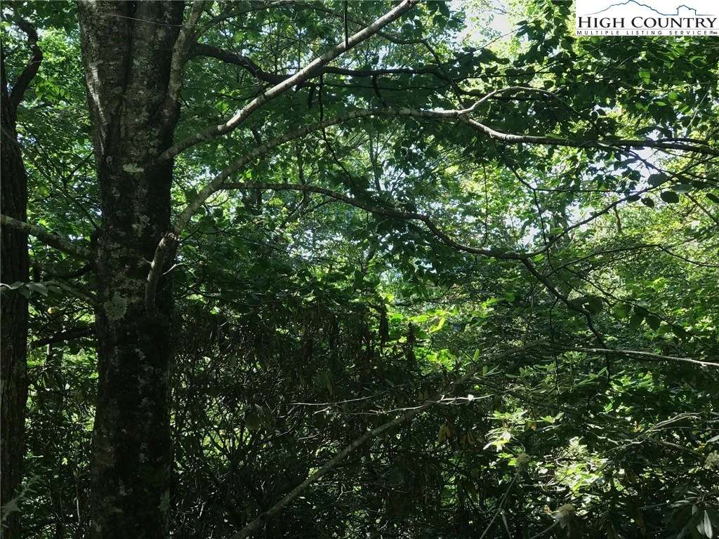 Image number 1 for the current listing