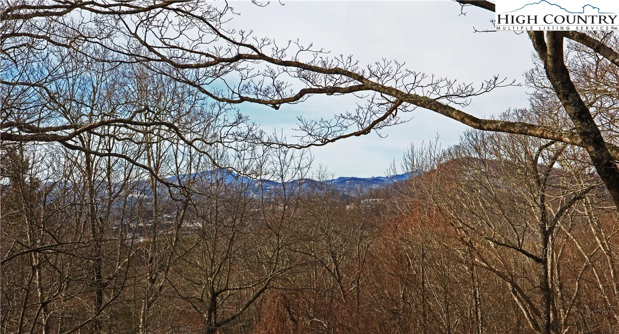 Image number 5 for the current listing
