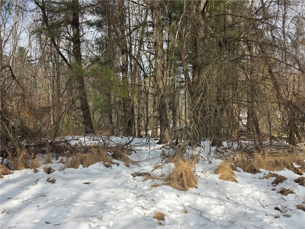 Image number 3 for the current listing