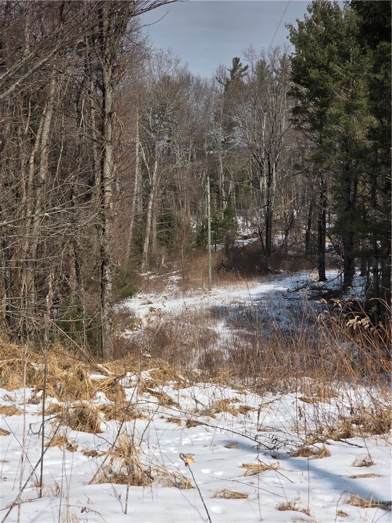 Image number 1 for the current listing