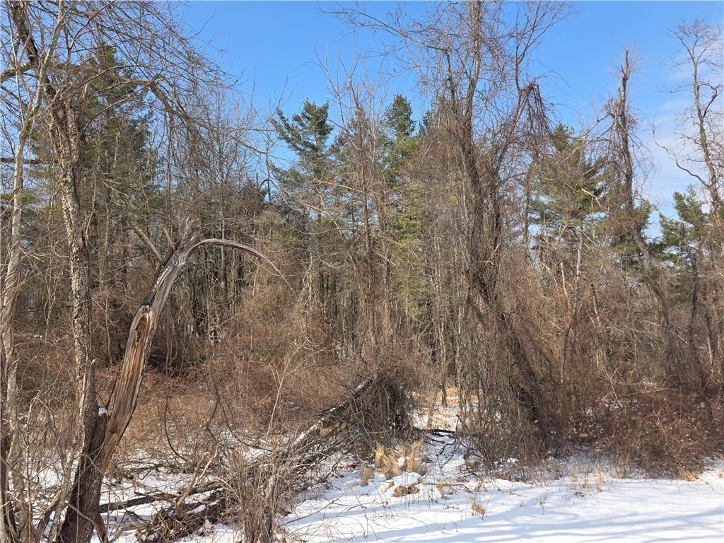 Image number 6 for the current listing