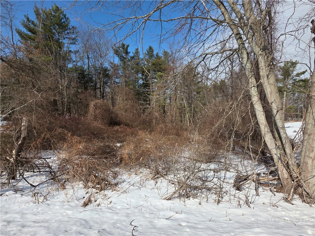 Image number 4 for the current listing