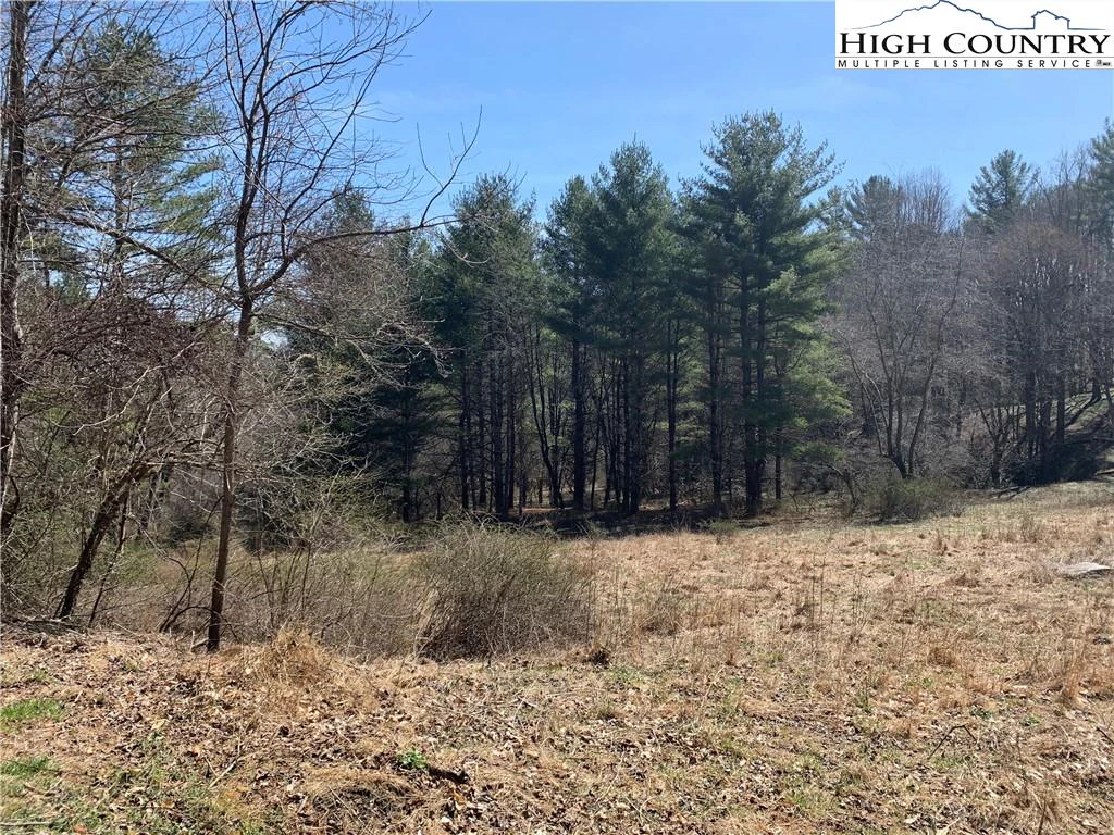 Image number 1 for the current listing