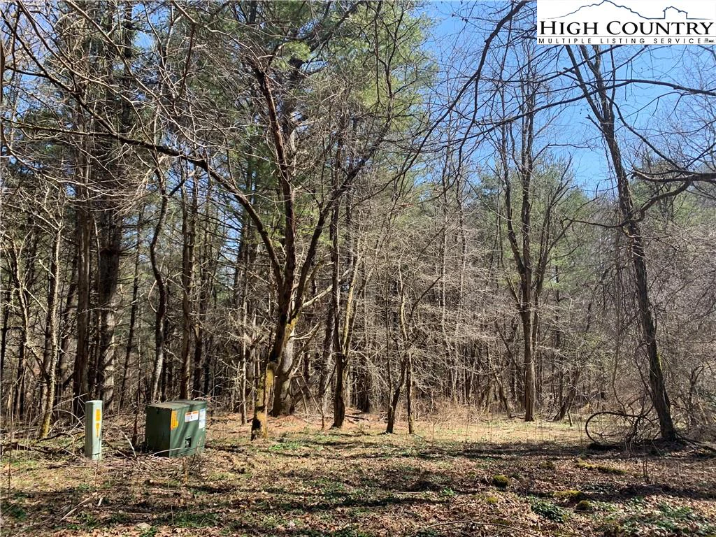 Image number 16 for the current listing