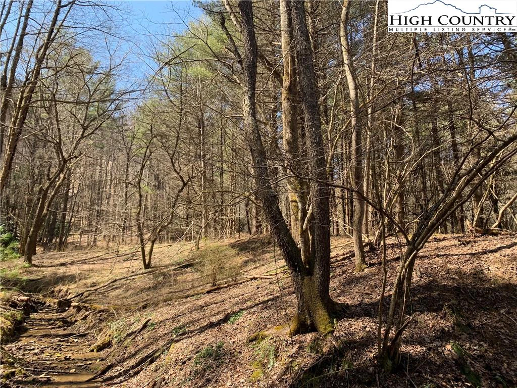 Image number 12 for the current listing