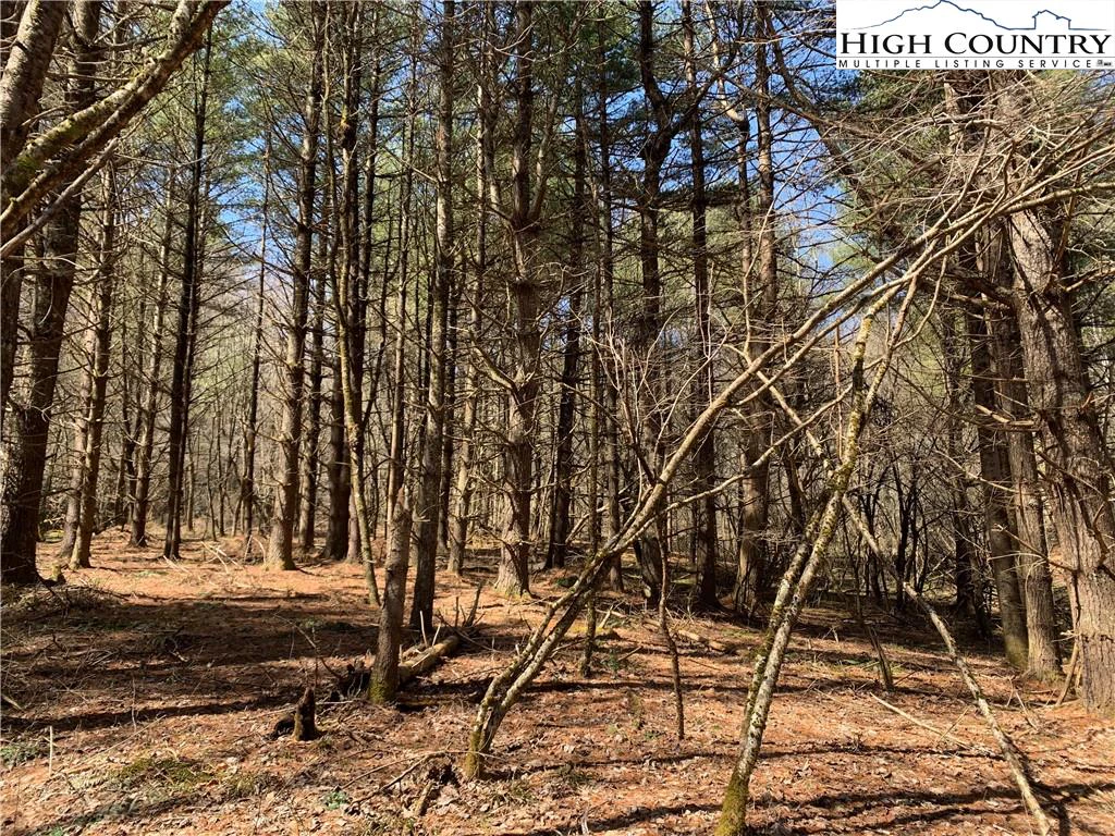 Image number 11 for the current listing