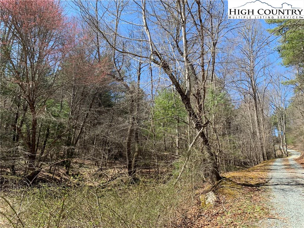 Image number 9 for the current listing