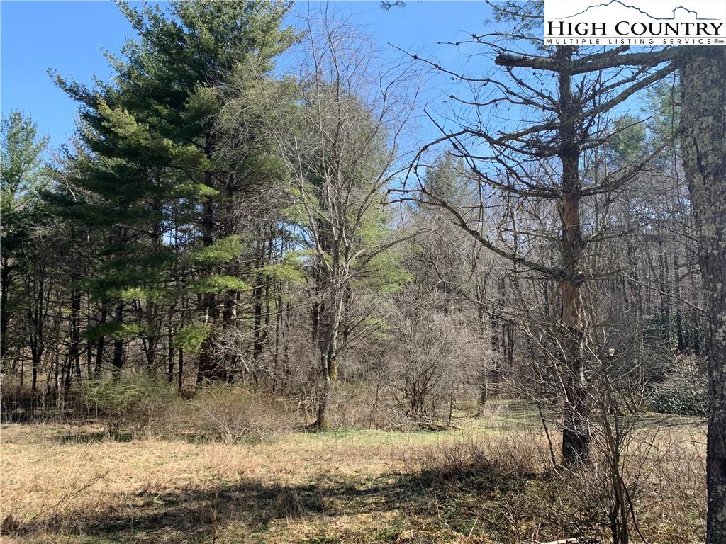Image number 20 for the current listing