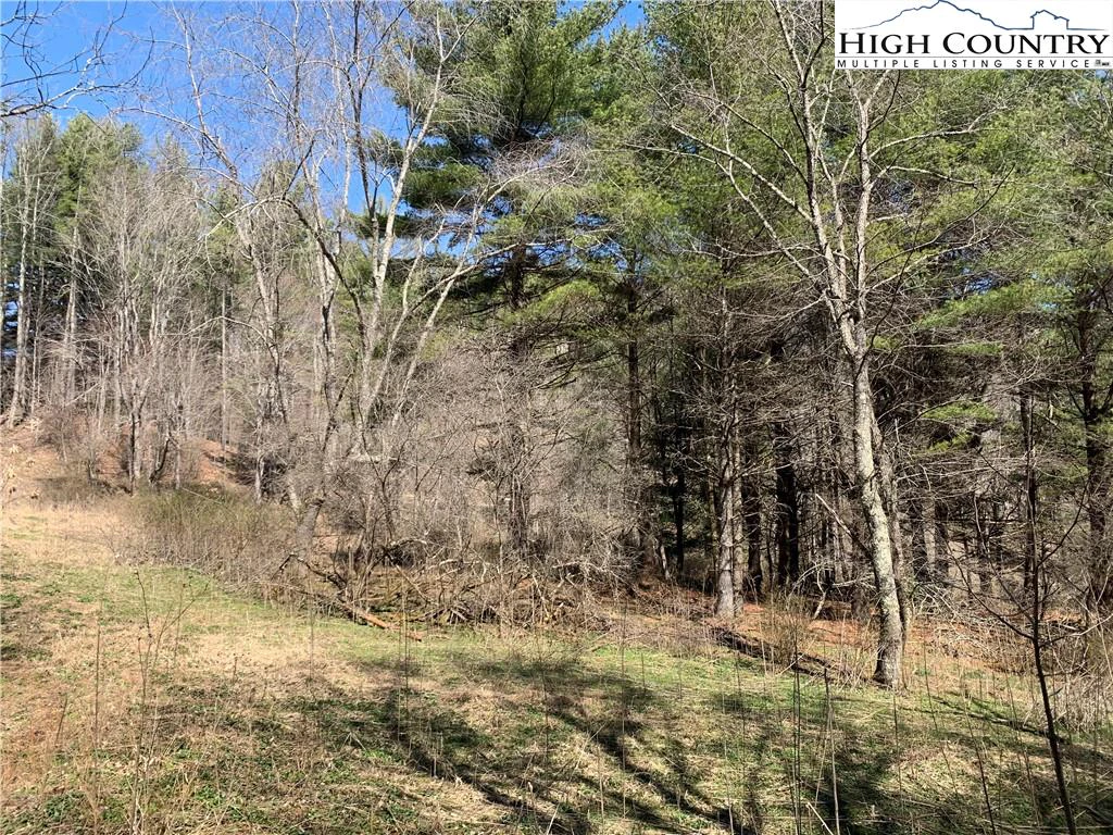 Image number 19 for the current listing