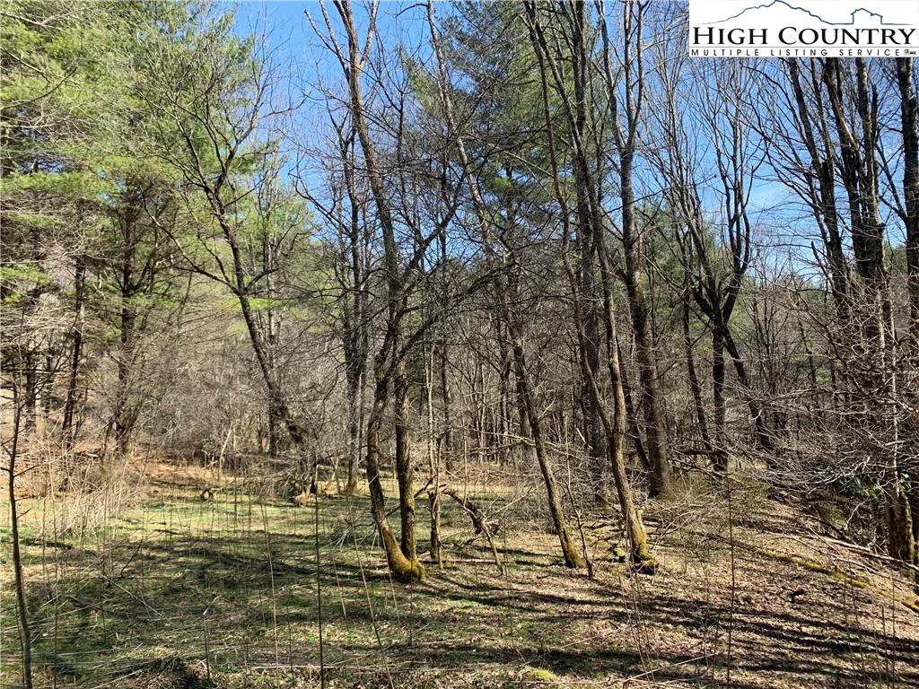 Image number 18 for the current listing