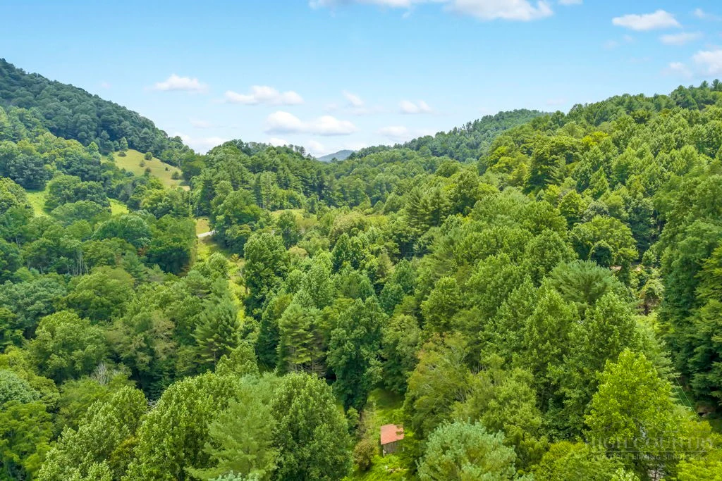 Image number 1 for the current listing