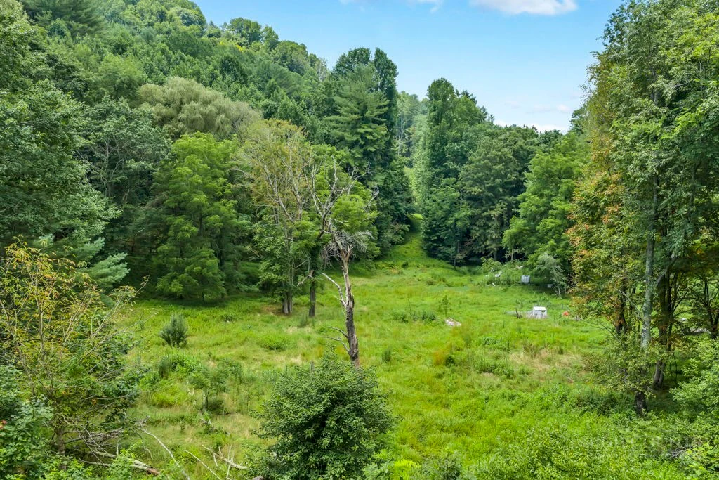 Image number 2 for the current listing
