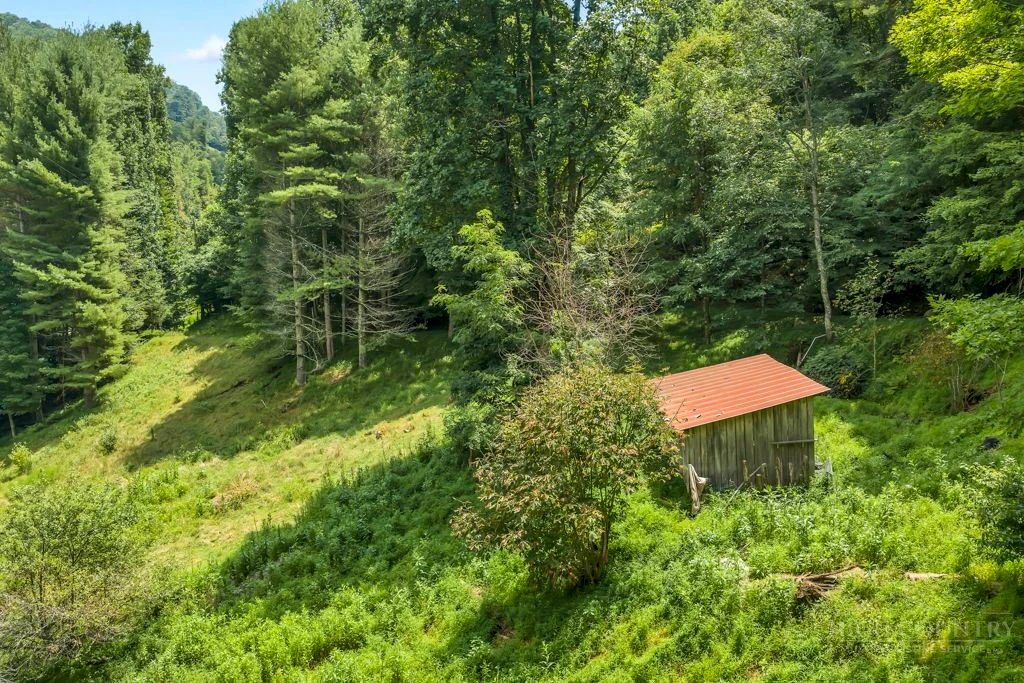 Image number 5 for the current listing