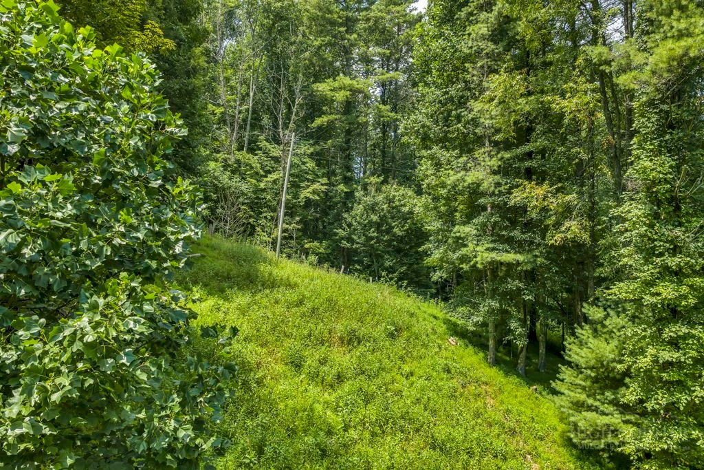 Image number 6 for the current listing
