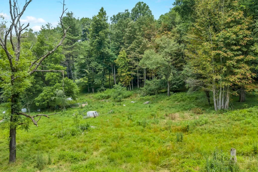 Image number 7 for the current listing