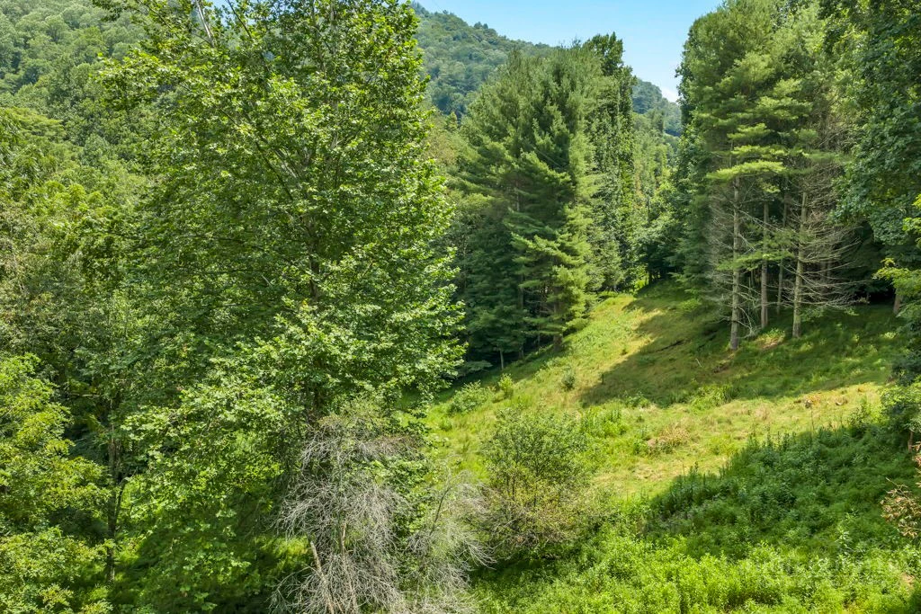 Image number 9 for the current listing