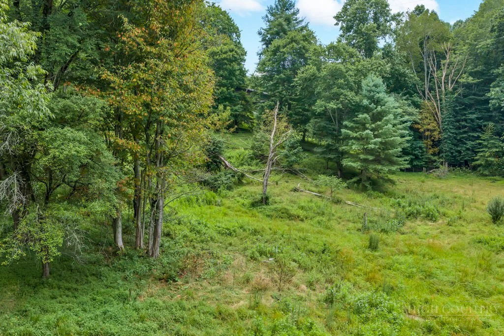 Image number 11 for the current listing