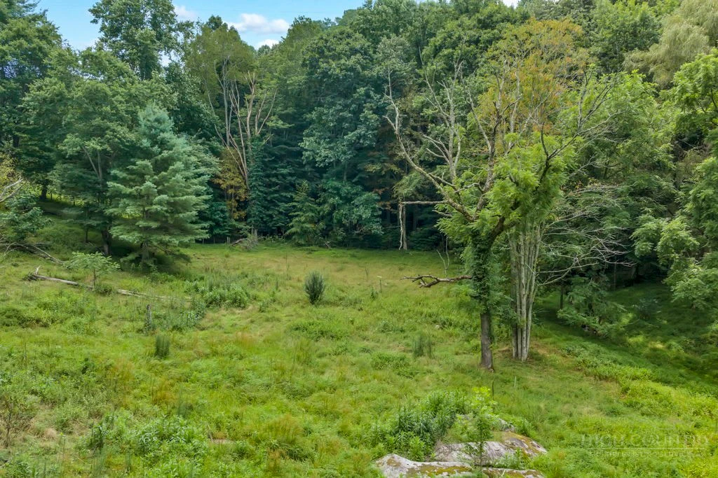 Image number 12 for the current listing