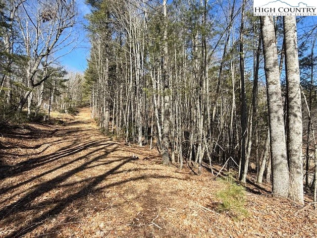 Image number 3 for the current listing