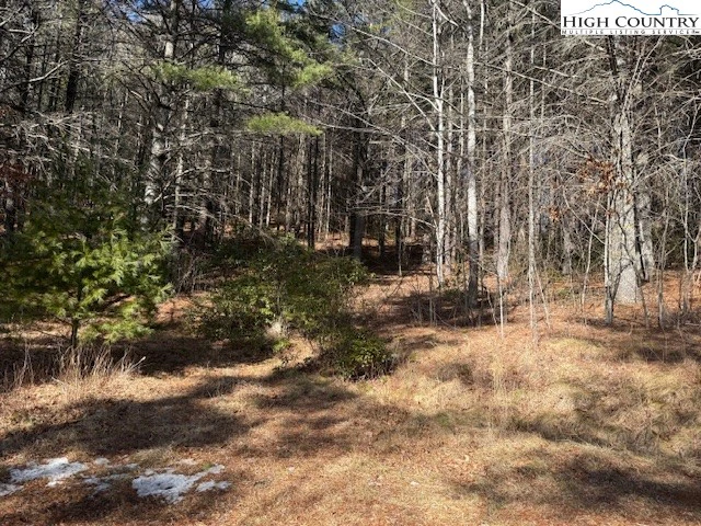 Image number 4 for the current listing