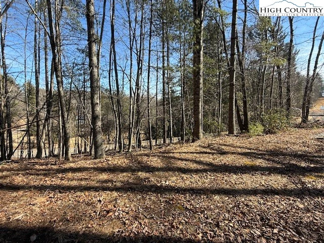 Image number 5 for the current listing