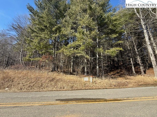 Image number 12 for the current listing