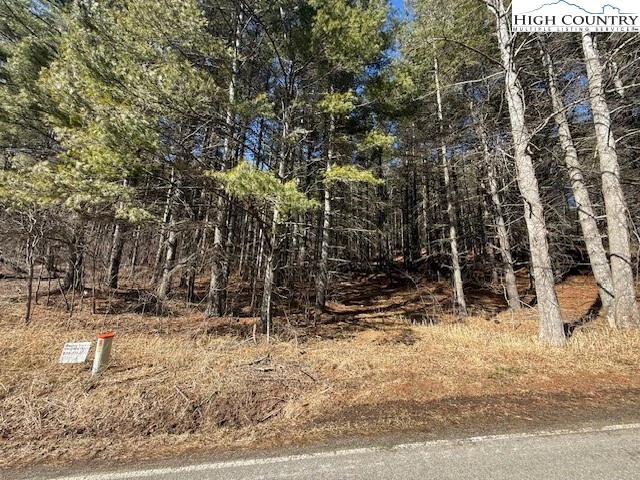 Image number 13 for the current listing