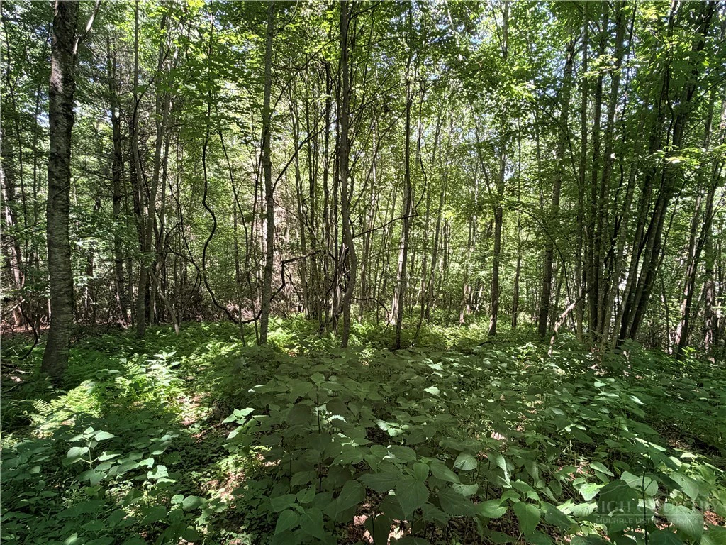 Image number 1 for the current listing