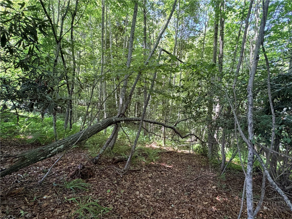 Image number 6 for the current listing
