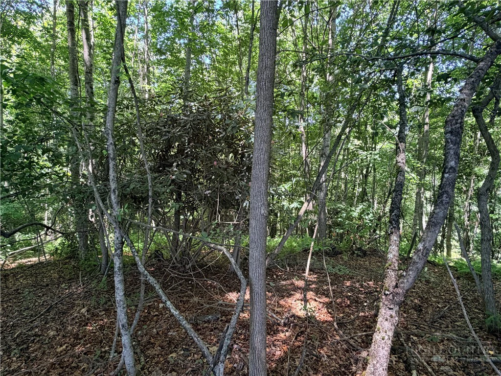 Image number 7 for the current listing