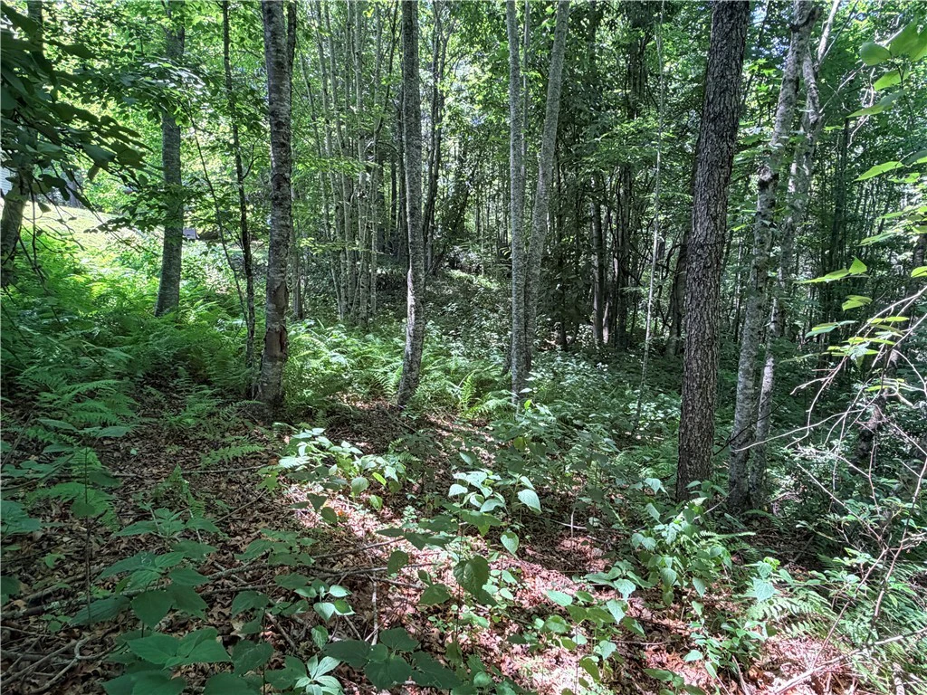 Image number 8 for the current listing