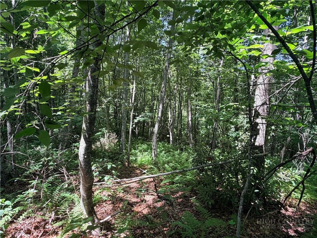 Image number 9 for the current listing