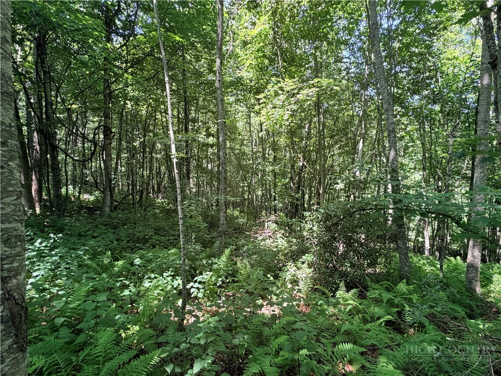 Image number 10 for the current listing