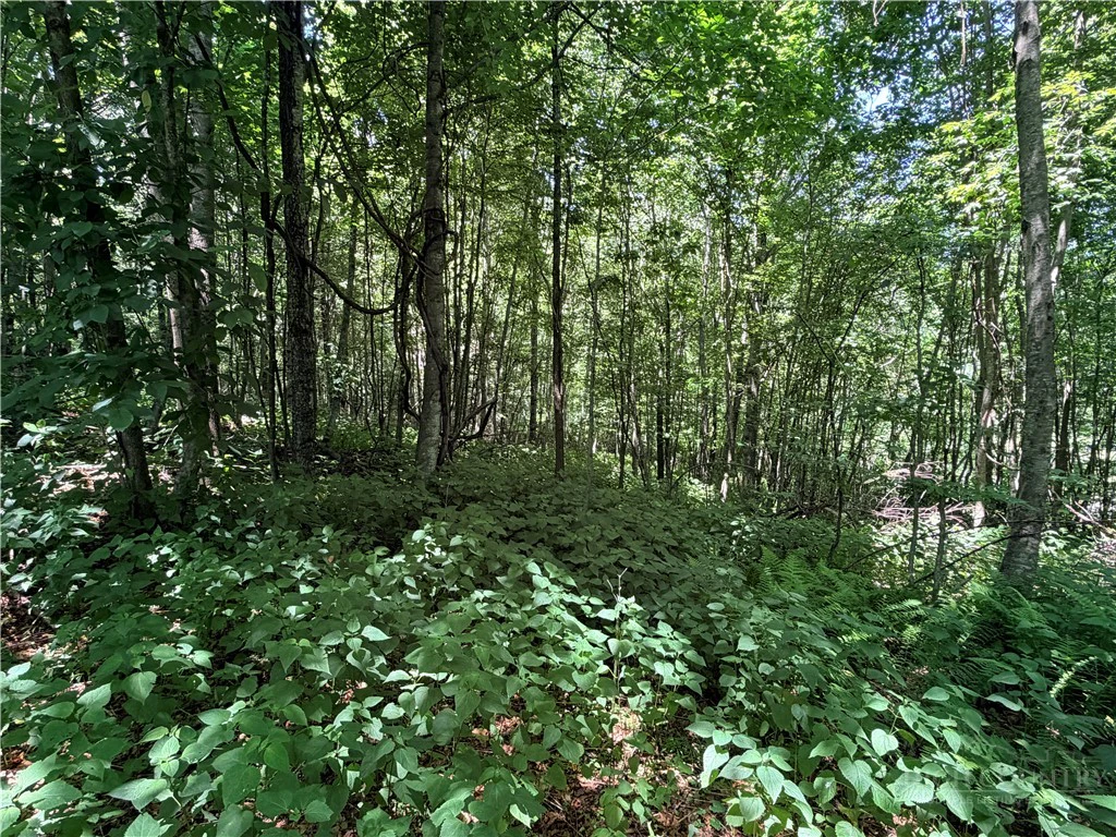 Image number 11 for the current listing