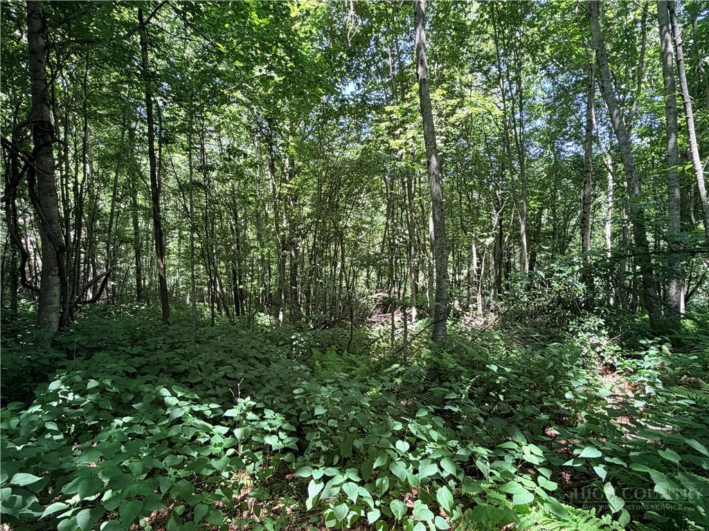 Image number 12 for the current listing