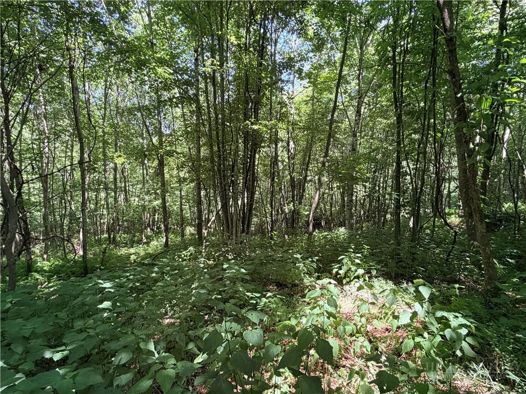 Image number 13 for the current listing