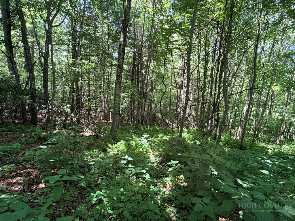 Image number 15 for the current listing