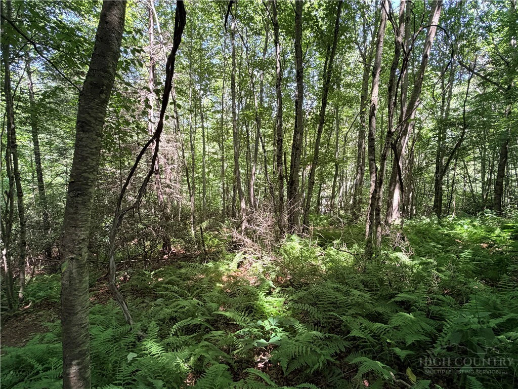 Image number 16 for the current listing