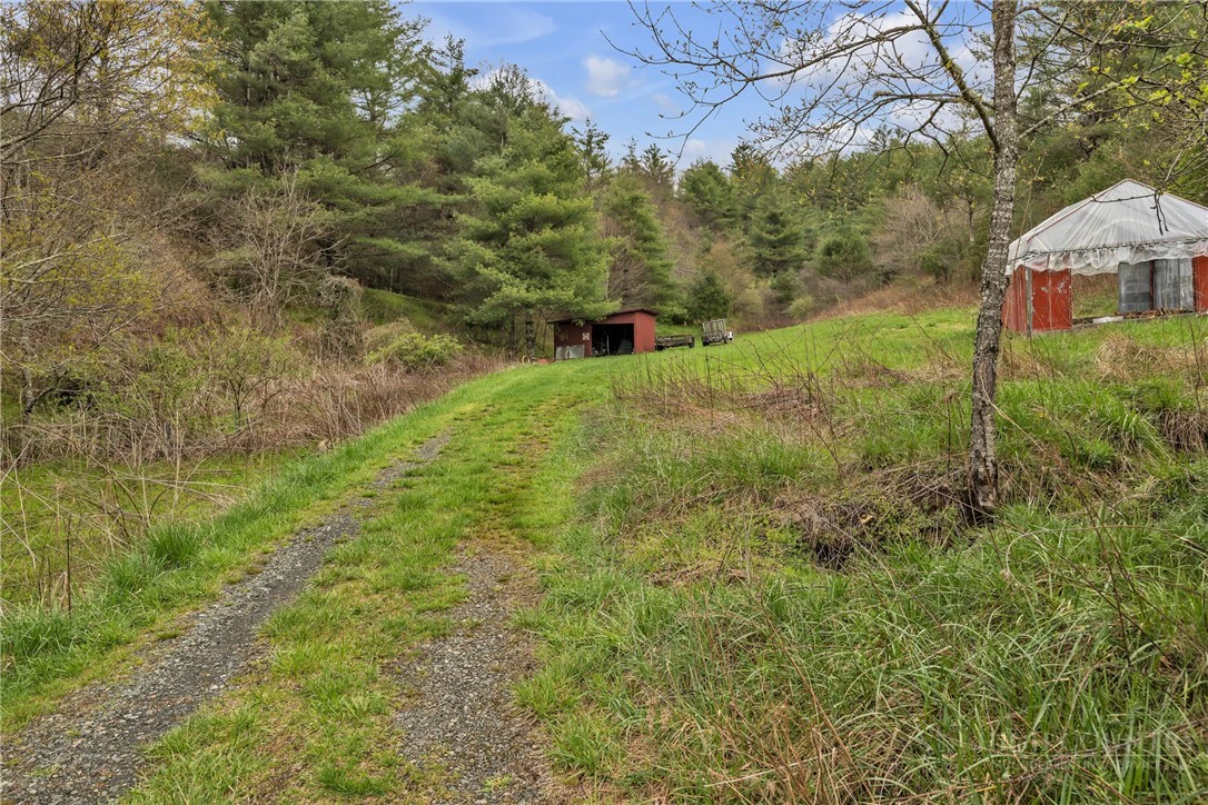 Image number 11 for the current listing